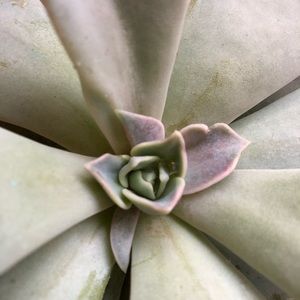 Meet your Posher, Demery